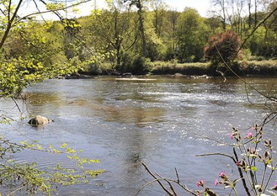 Gestion de la ressource en eau