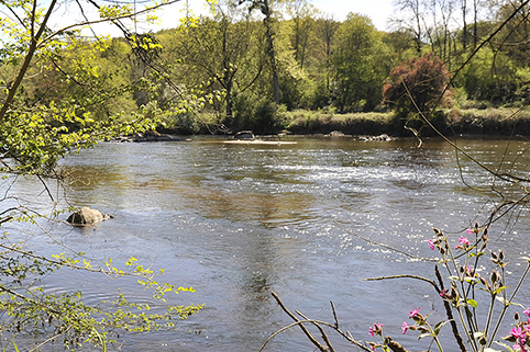 Gestion de la ressource en eau